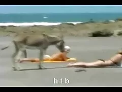 দু: খ লাতিনা গ্রাস তথা বিহার সেক্স ভিডিও