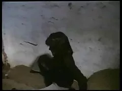 মেয়ে সমকামী, সুন্দরী বালিকা সেক্স ভিডিও কলিং